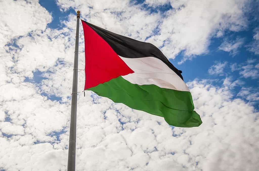 Bandiera della Palestina