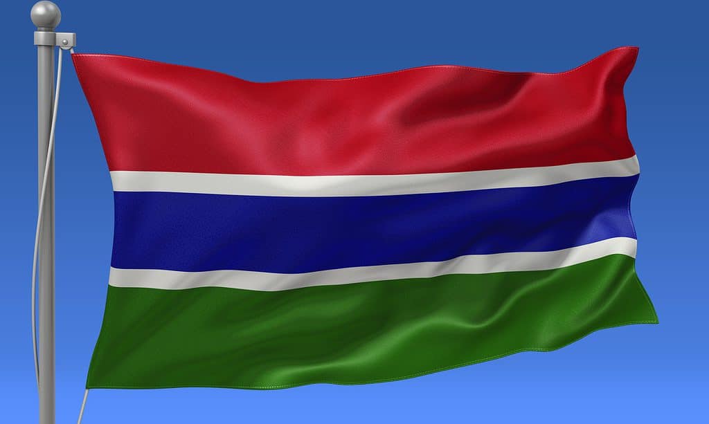 Bandiera della Gambia