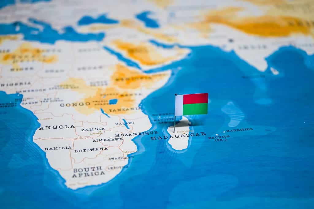 Bandiera del Madagascar