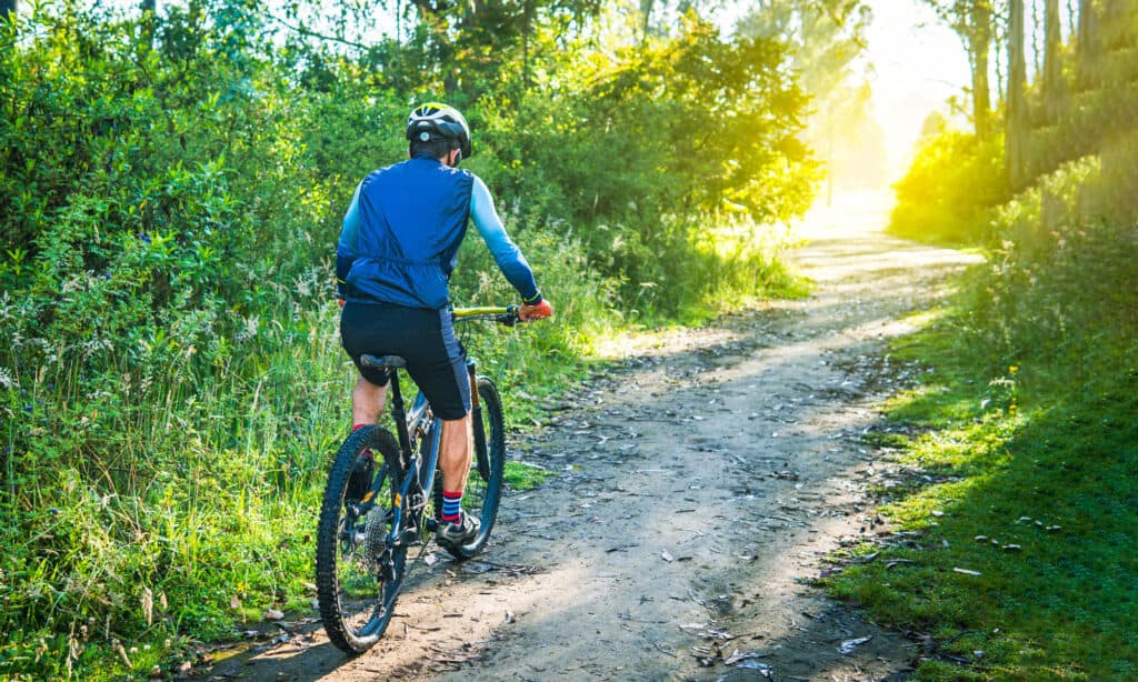 andare in bicicletta