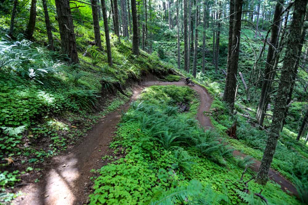 Pista ciclabile più lunga dell'Oregon