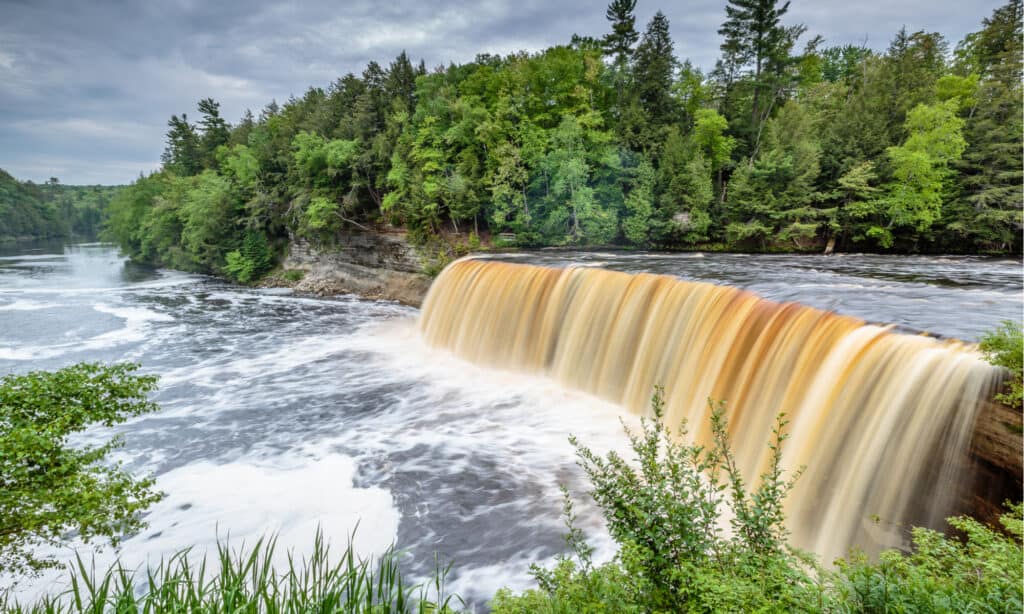 Tahquamenon cade