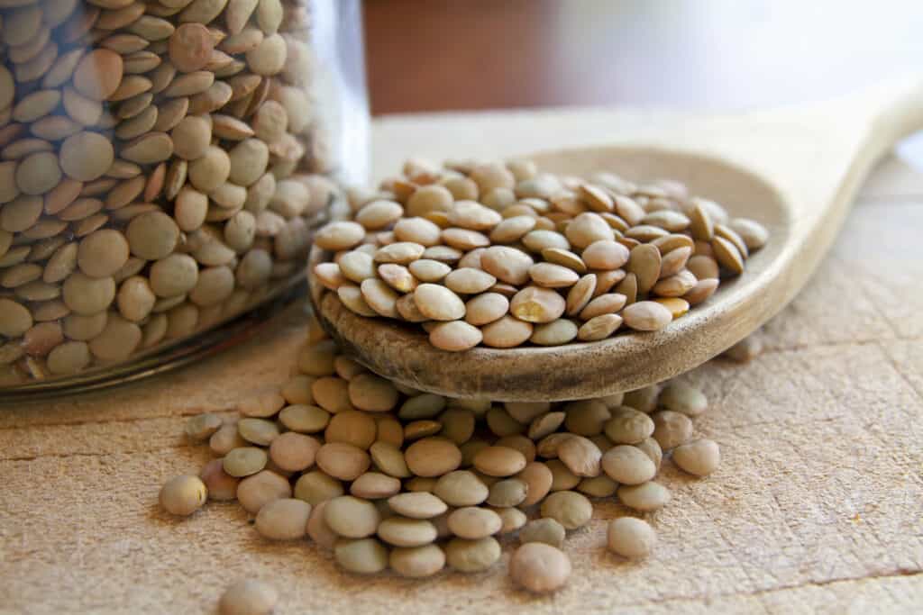 Lenticchie legumi