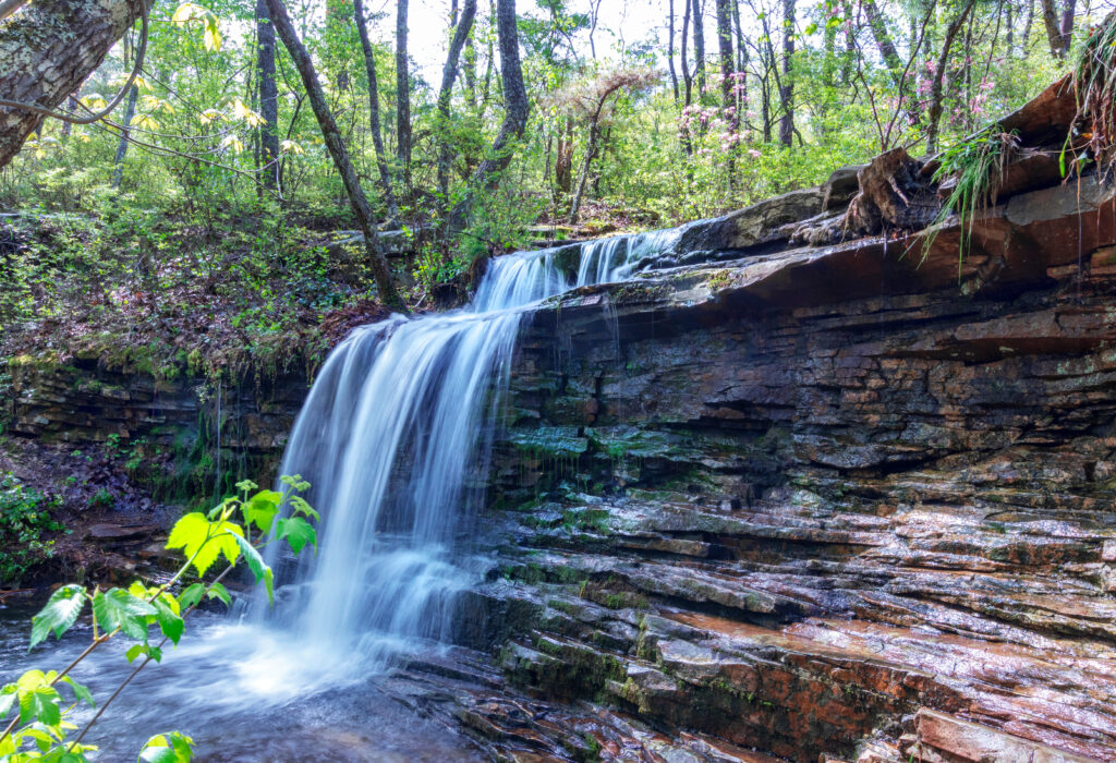 Desoto State Park, Alabama
