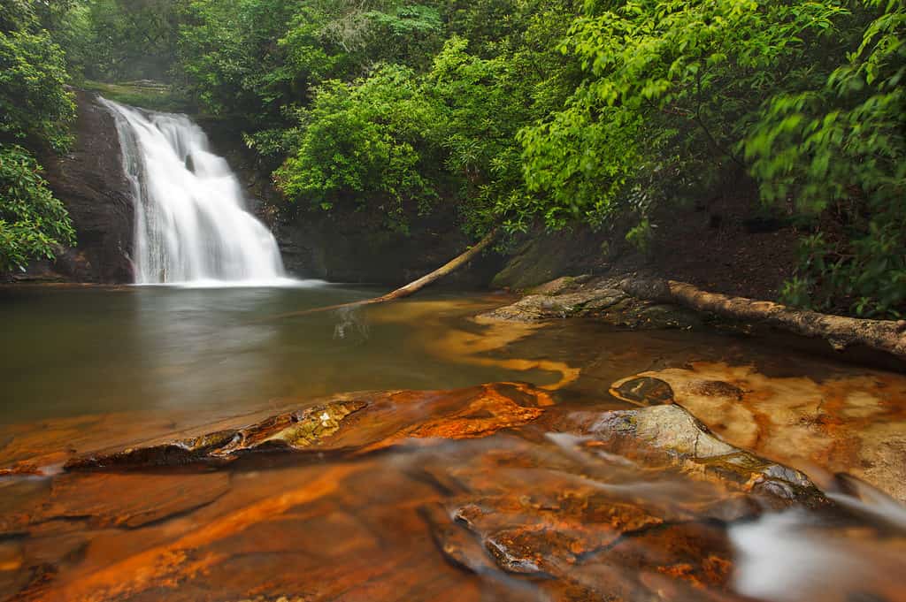 La cascata Blue Hole è una grande piscina in Georgia.