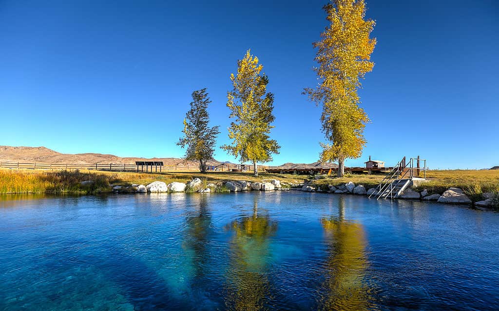 Grande primavera calda