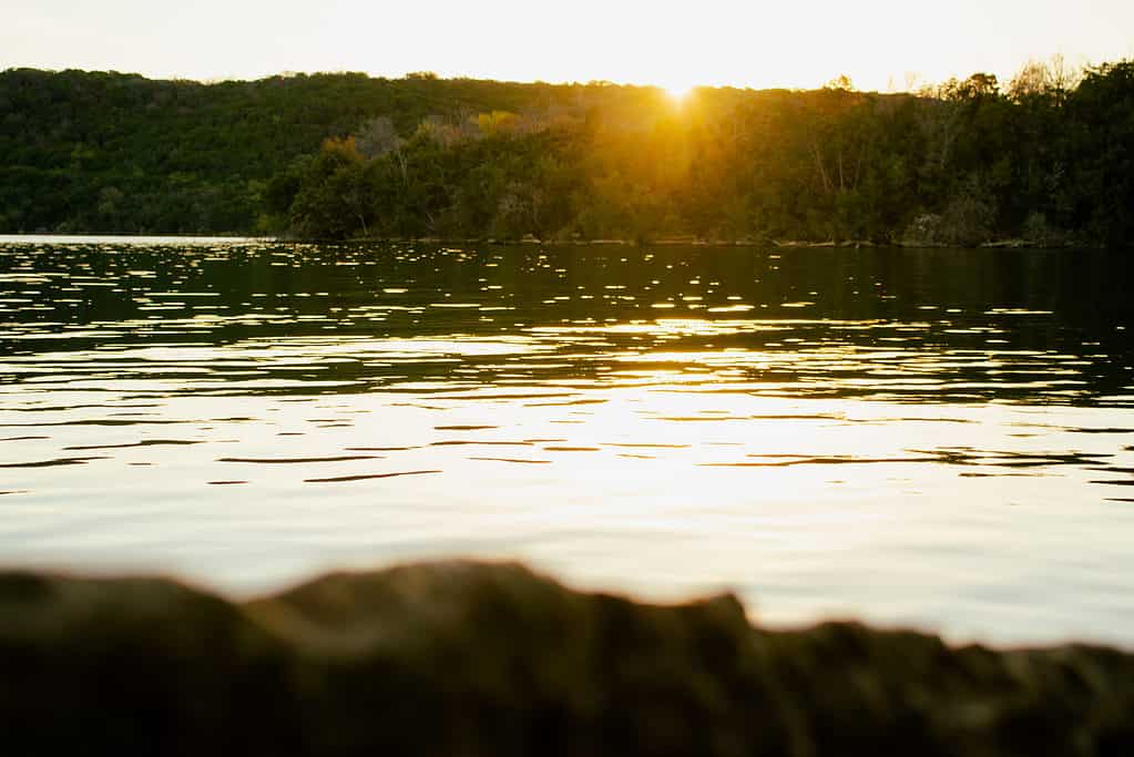 Lago del regno dell'opossum