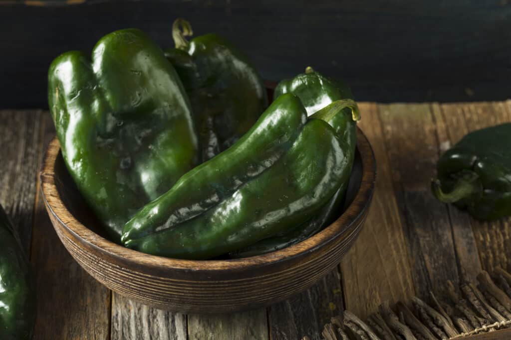 Peperoni Poblano organici verdi crudi in una ciotola pronti da cucinare