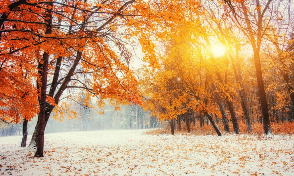 prima neve nel dakota del sud