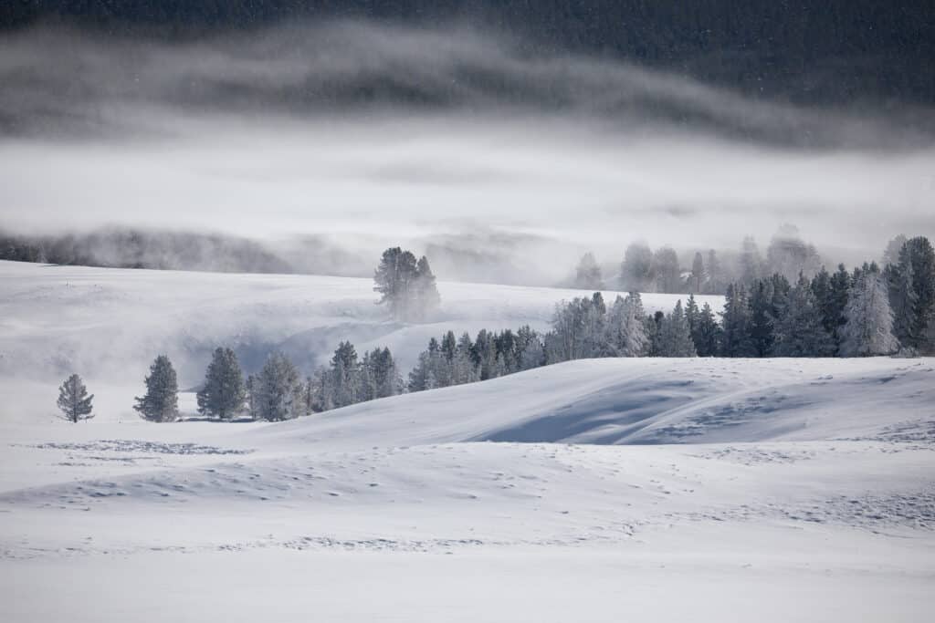 Parco nazionale di Yellowstone innevato nel Wyoming