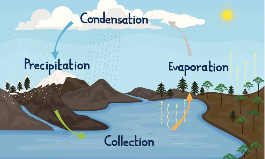 Ciclo dell'acqua nell'illustrazione delle azione della natura