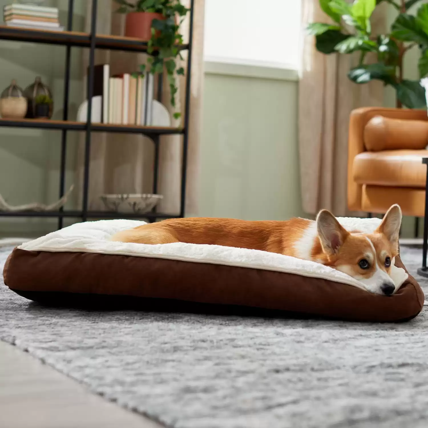 Cuscino Frisco Cuccia per cani e gatti
