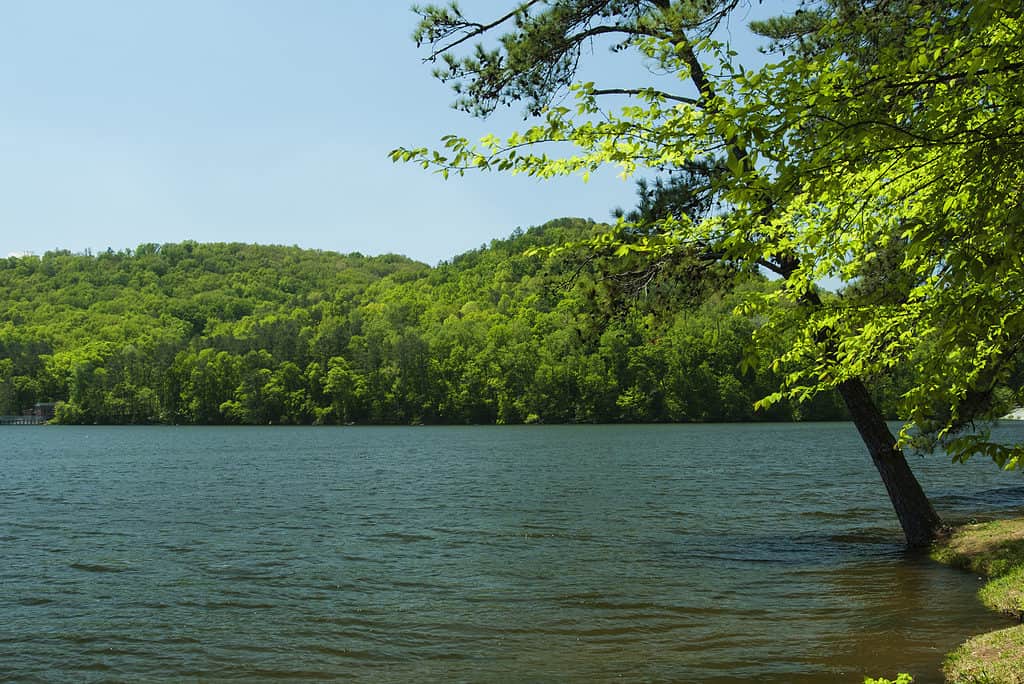 Il lago Guntersville è il lago più grande dell'Alabama