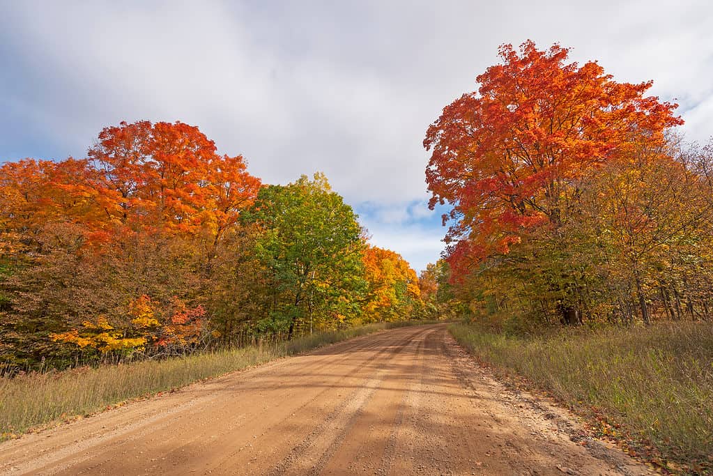 Vanderbilt, Michigan