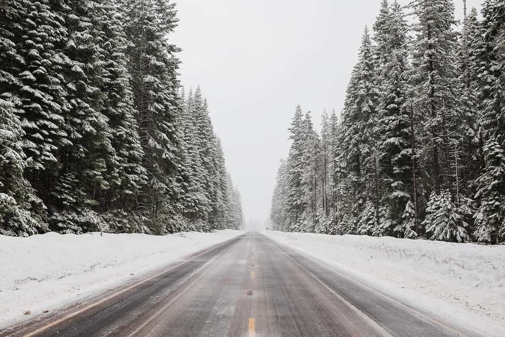 Foresta nazionale di Umpqua