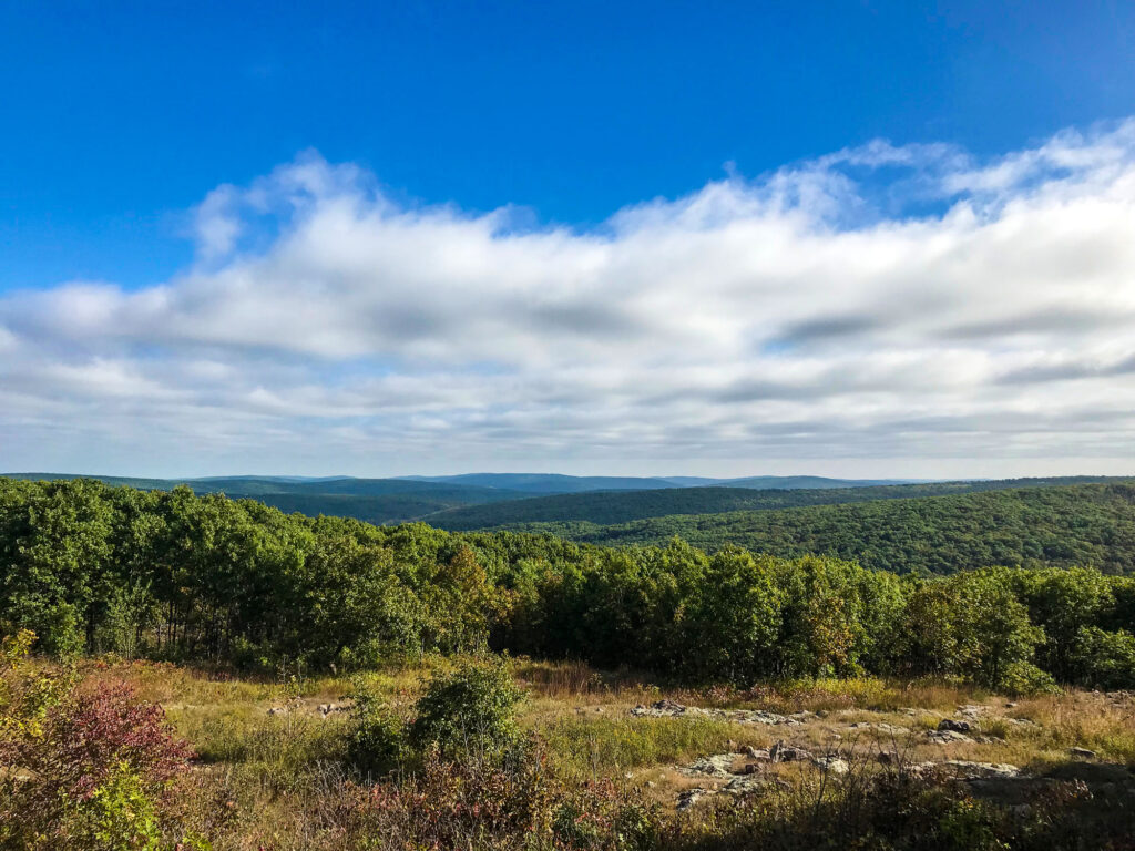 Vista Taum Sauk