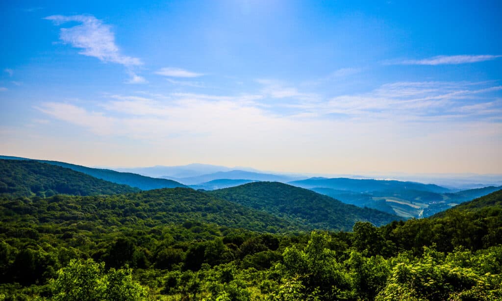Monte Roger Virginia