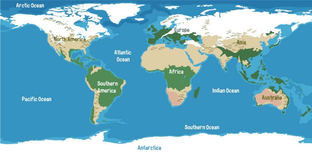 Mappa degli oceani del mondo
