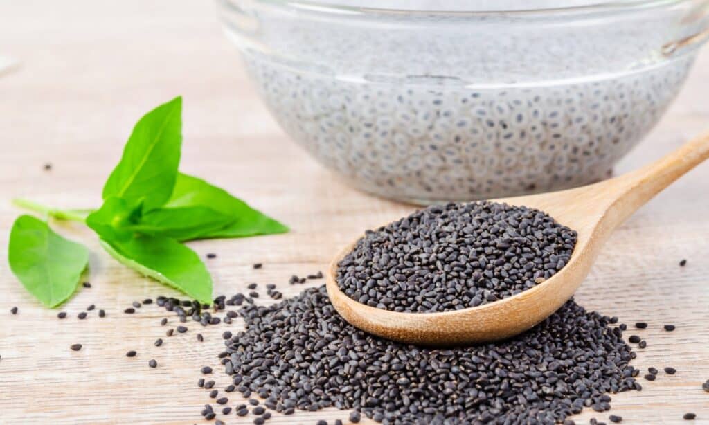 Semi di Basilico vs Semi di Chia