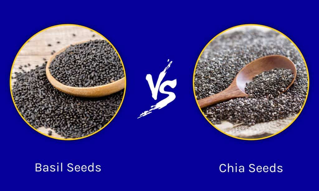 Semi di Basilico vs Semi di Chia