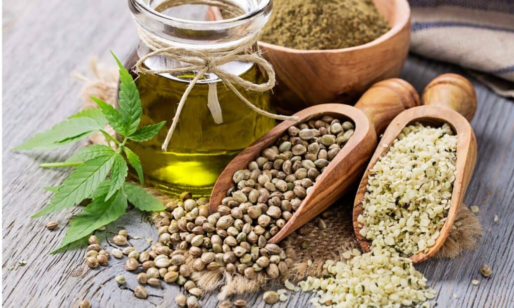 Semi di Canapa vs Semi di Chia