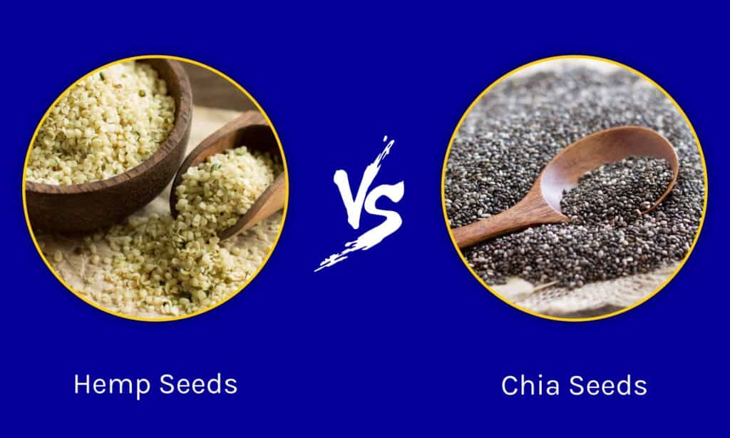 Semi di Canapa vs Semi di Chia