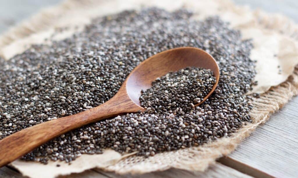 Semi di Basilico vs Semi di Chia