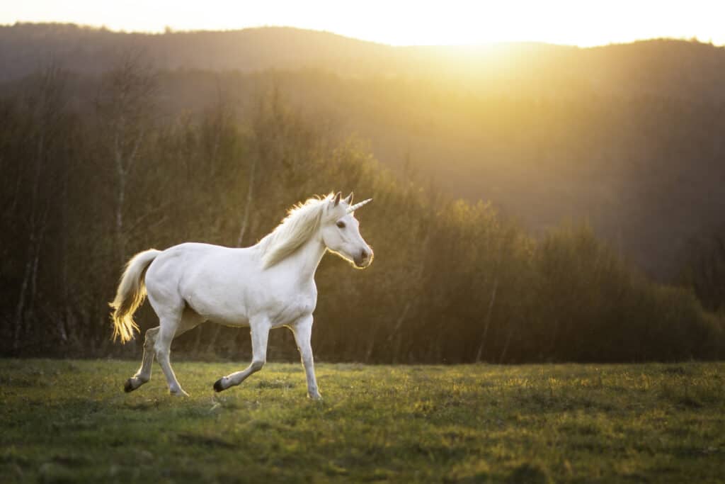 Unicorno