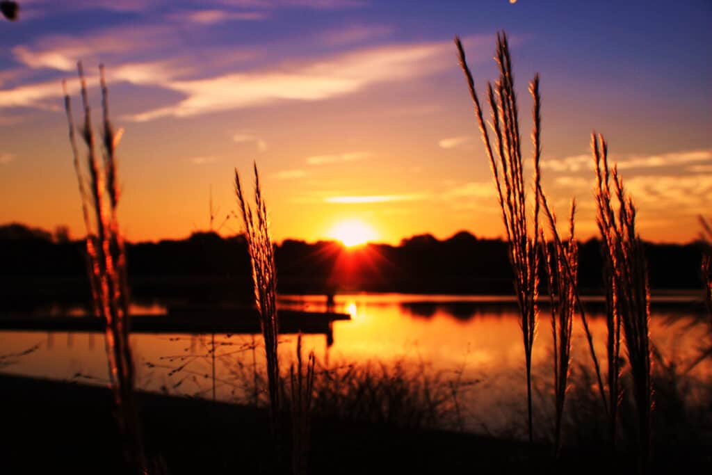 Lago Harriet