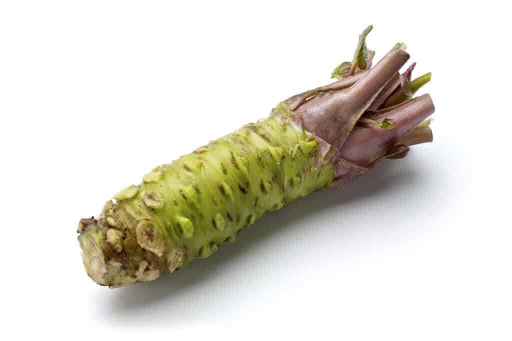 primo piano di una radice wasabi verdastra su uno sfondo bianco