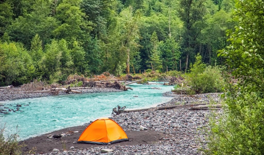 Fiume Nisqually nello Stato di Washington