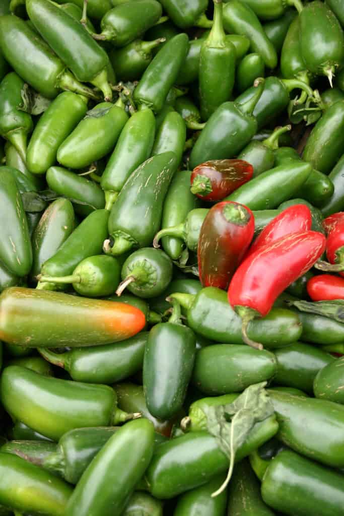 Un mucchio di peperoncini jalapeno con altri peperoncini piccanti