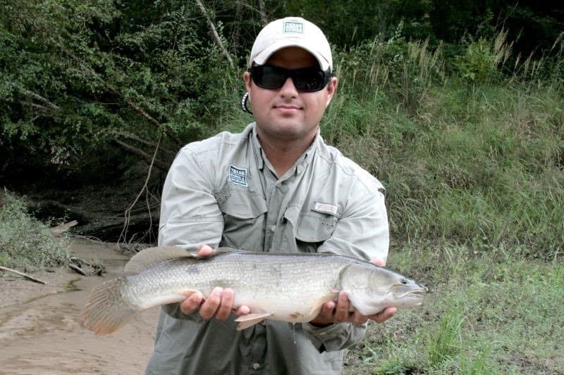 Pescatore con Bowfin ATTRIBUZIONE NON TROVATA