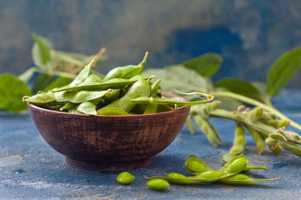 Semi di soia edamame verdi crudi