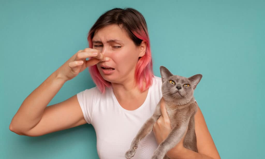 cattivo odore scoregge