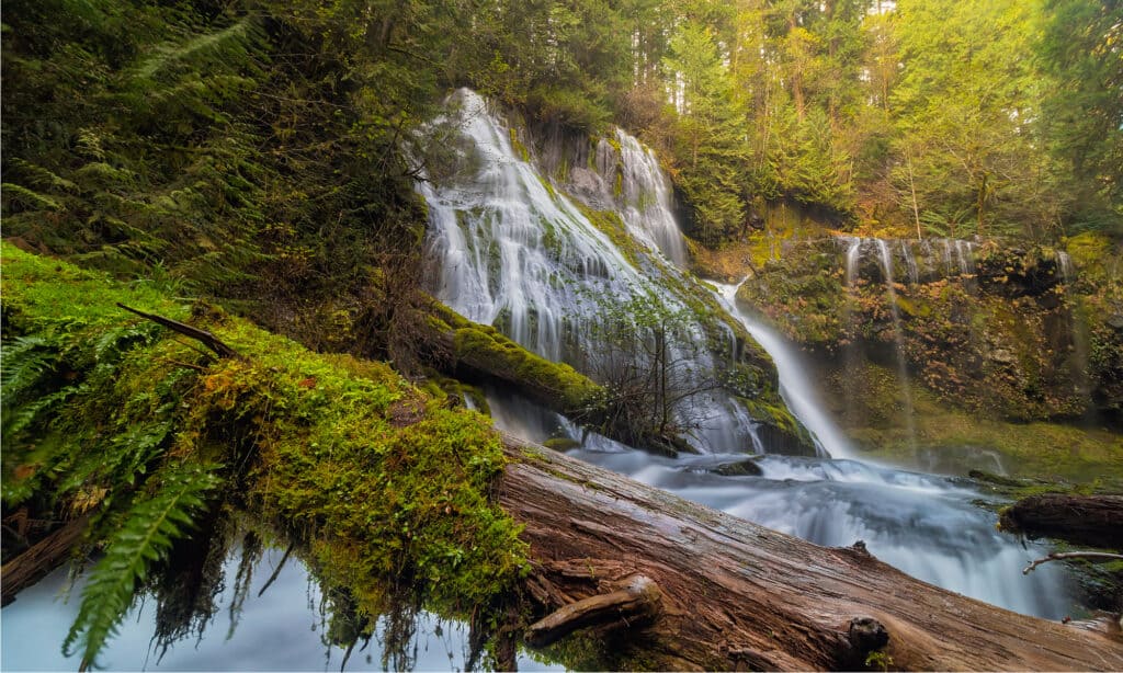 Cascate del Panther Creek