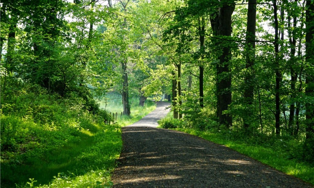 Riserva del parco statale Rockefeller