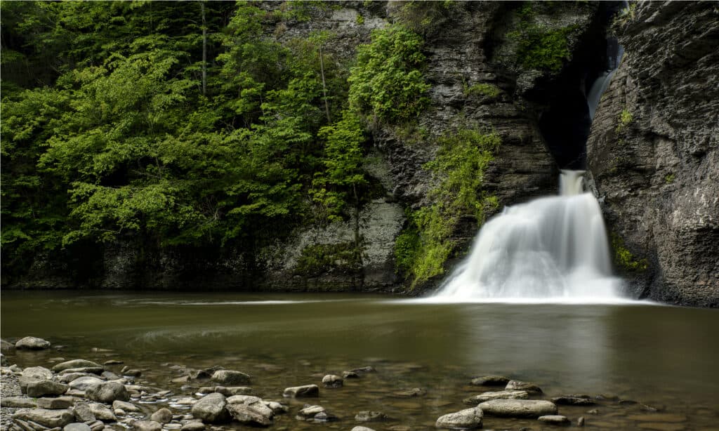 Parco statale di Catskill