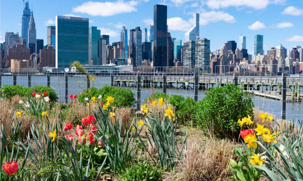 Gantry Plaza State Park
