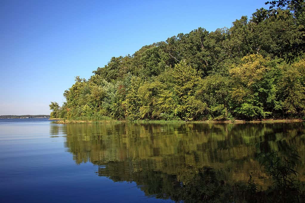 Terra tra l'area ricreativa nazionale dei laghi, Kentucky Lake
