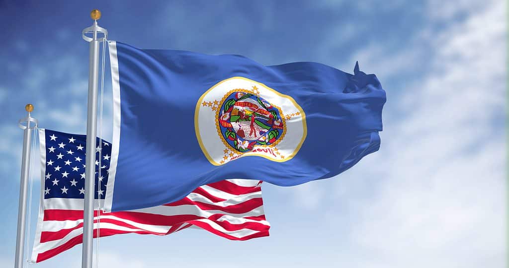 bandiera del Minnesota