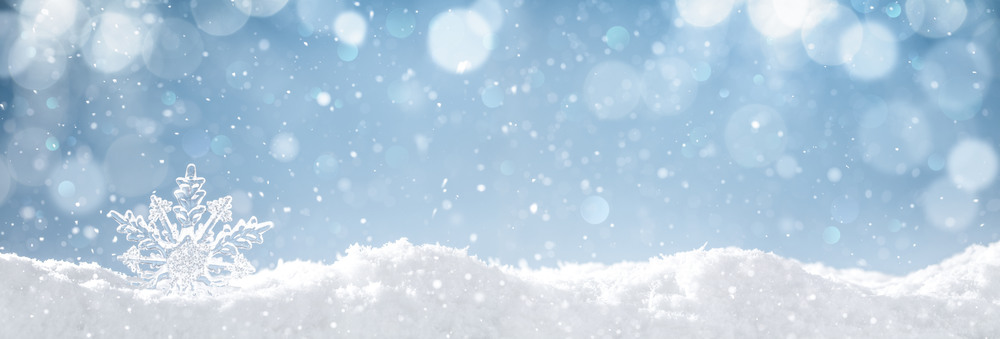 fiocco di neve