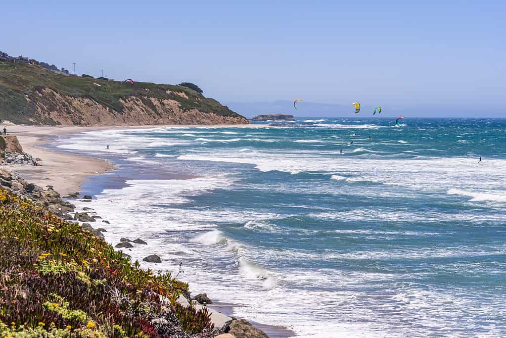 Waddell Beach