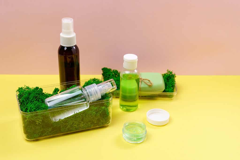 Muschio marino e ingredienti per la cura della pelle, inclusi sapone e lozione.