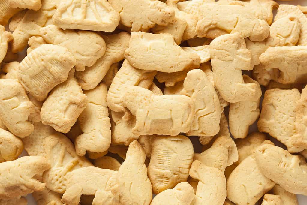 Biscotti Cracker Animali Al Limone