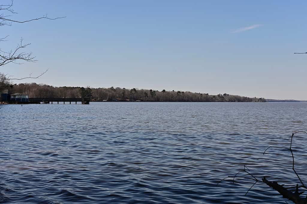 Lago Marion al Santee State Park, Carolina del Sud.