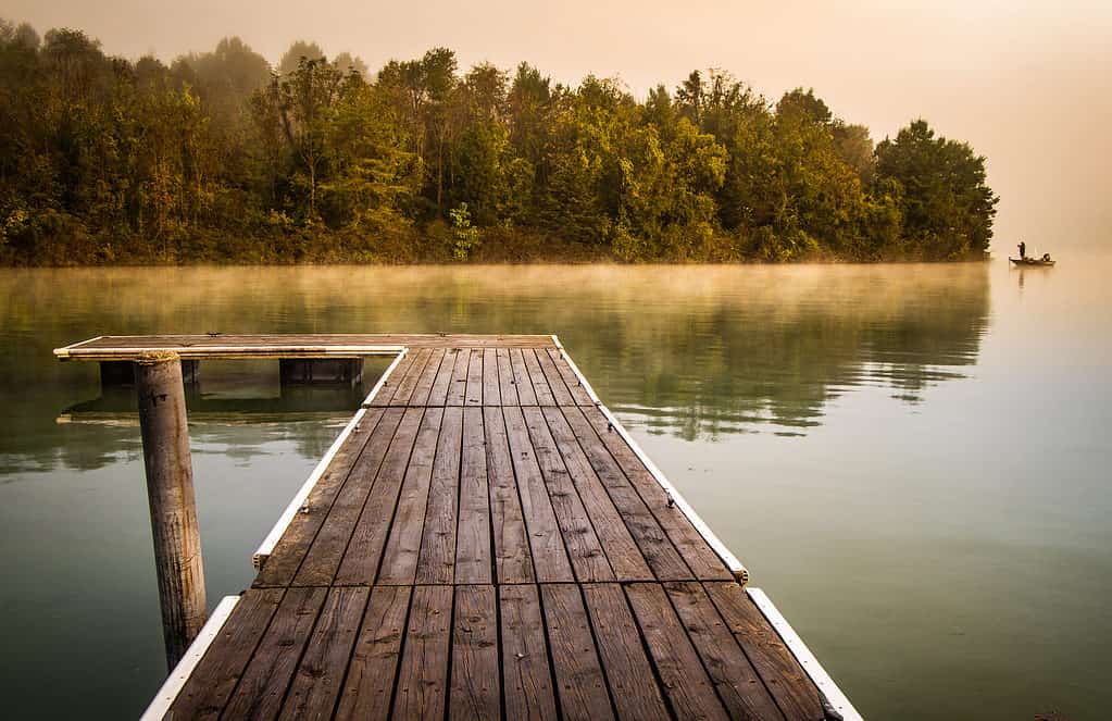 Lago di palude blu