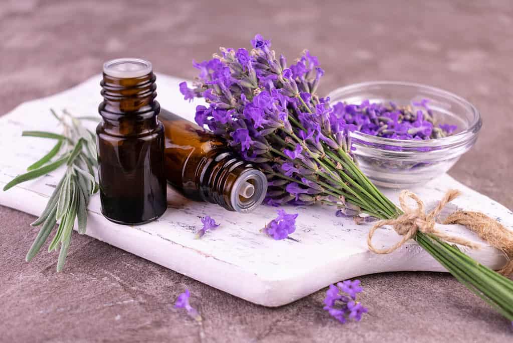 Olio essenziale di lavanda
