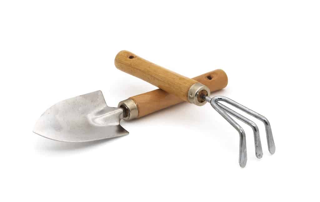 Vanga e rastrello da giardinaggio