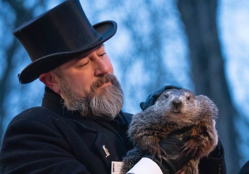 Punxsutawney Phil il giorno della marmotta